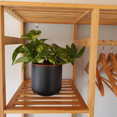 Quinta Do Castanheiro Castanheira de Pera