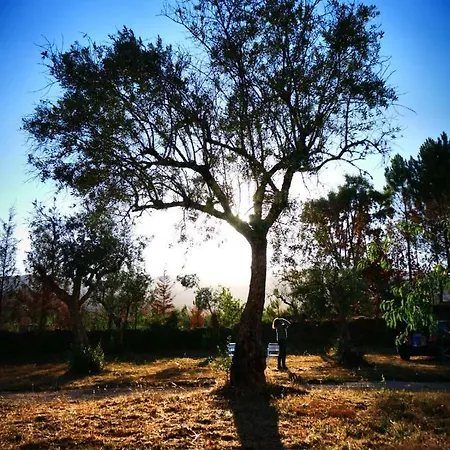 Couette-café Quinta Do Castanheiro 3*