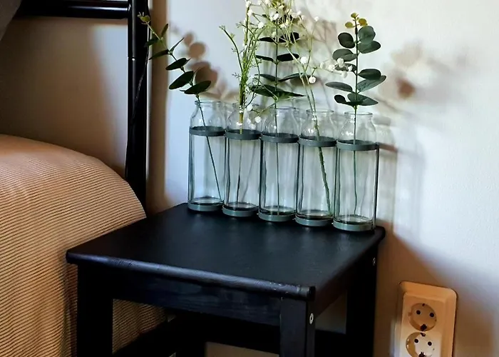 Bed & Breakfast Quinta Do Castanheiro 3*