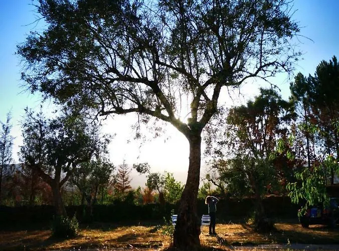 Bed & Breakfast Quinta Do Castanheiro 3*